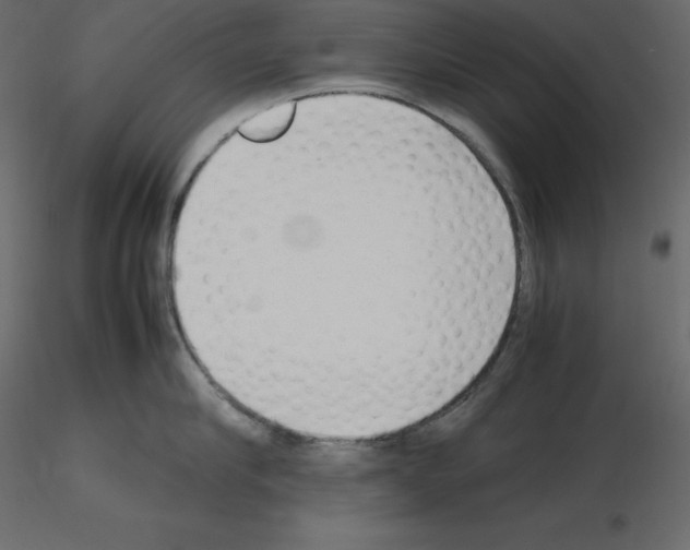 X0000115720910200912241602
