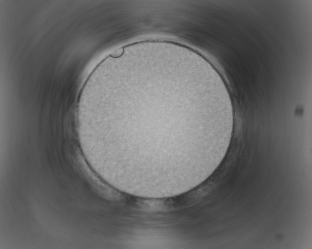 X0000115720911200912241602