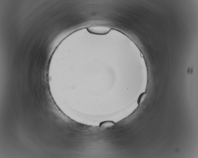 X0000115720912200912241602