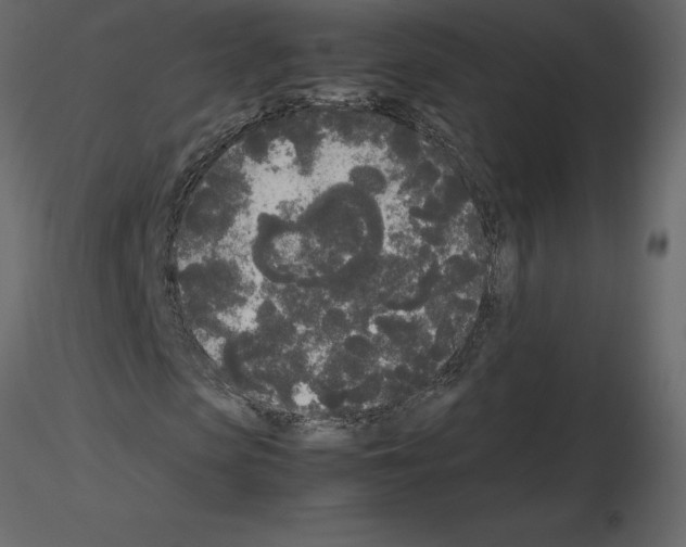 X0000115720913200912241601