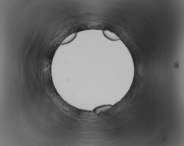 X0000115720914200912241601