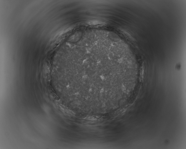 X0000115720917200912241601