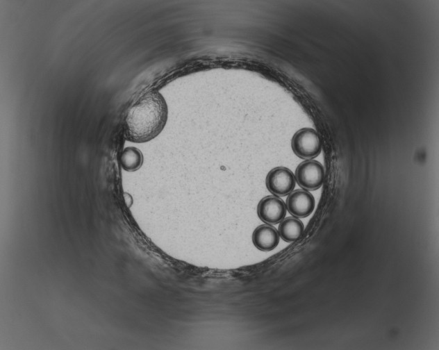 X0000115720918200912241601