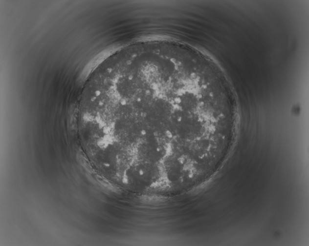 X0000115720921200912241601