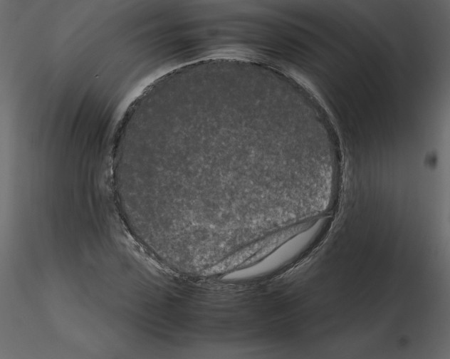 X0000115720923200912241602