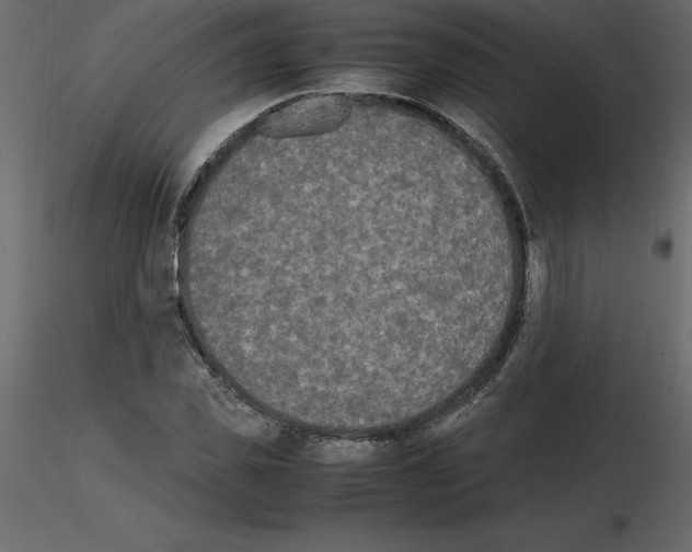 X0000115720925200912241602