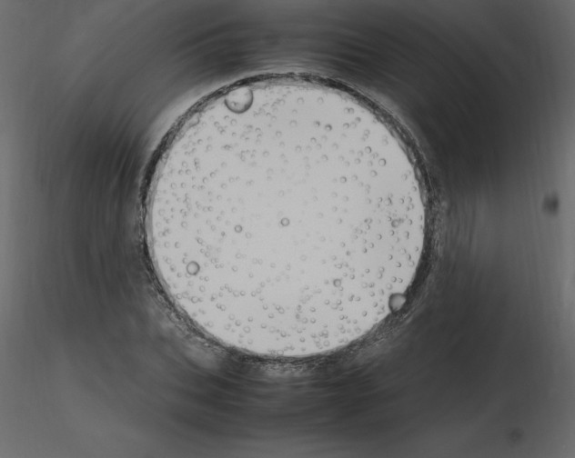 X0000115720927200912241602