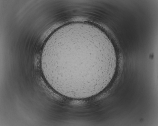 X0000115720929200912241602