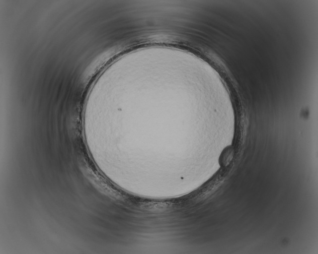 X0000115720930200912241602