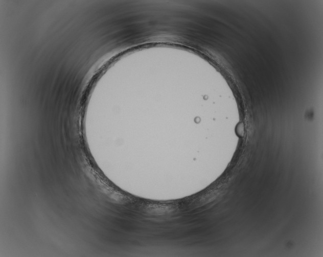 X0000115720931200912241602
