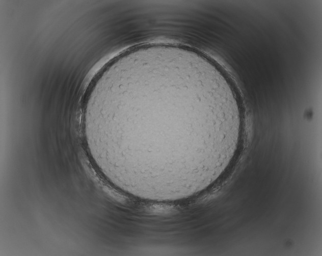 X0000115720933200912241602