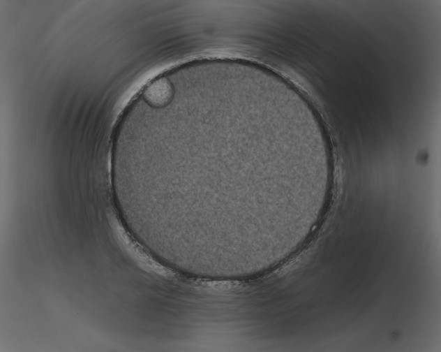 X0000115720934200912241602