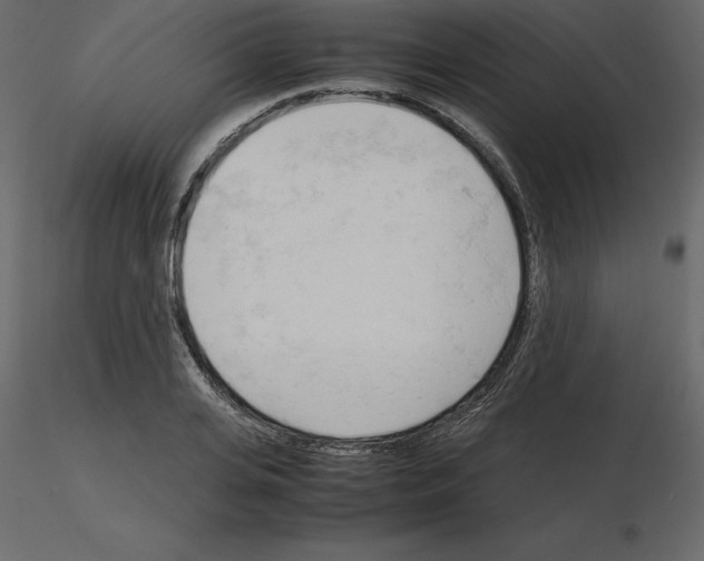 X0000115720935200912241602