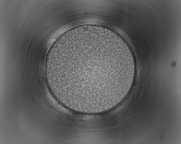 X0000115720938200912241602