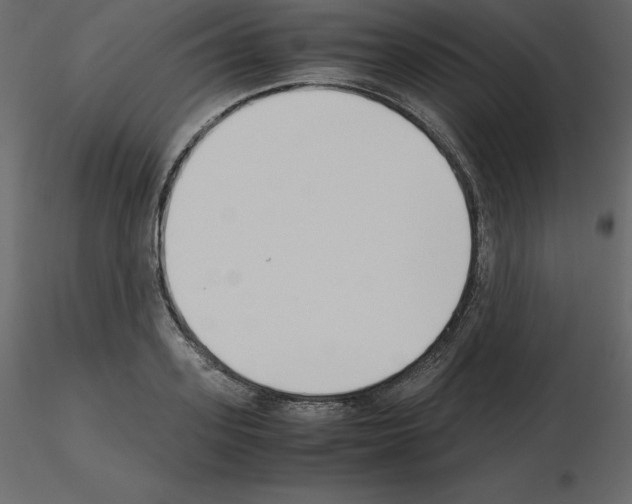 X0000115720939200912241602