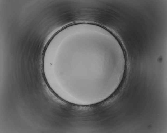 X0000115720941200912241602