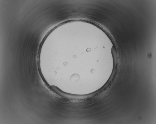 X0000115720943200912241602