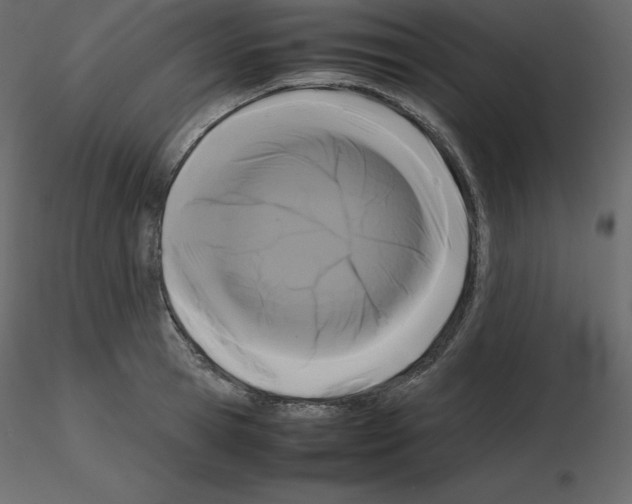 X0000115720945200912241602