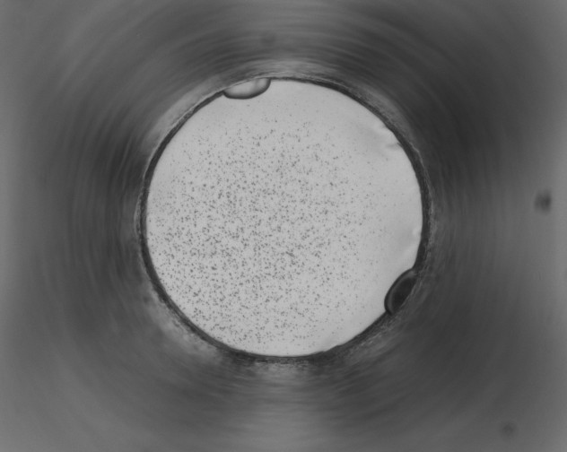 X0000115720946200912241602
