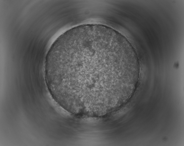 X0000115720950200912241602
