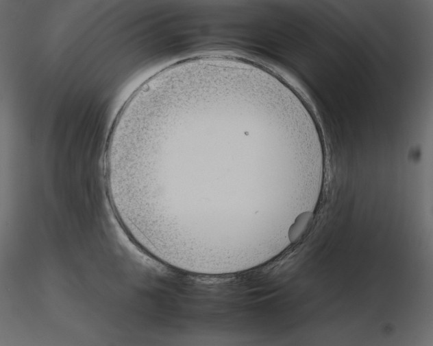 X0000115720951200912241602