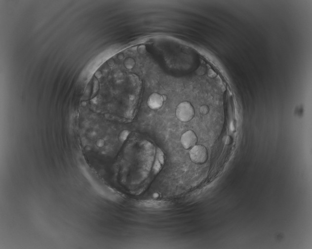 X0000115720953200912241602