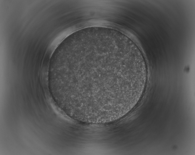 X0000115720954200912241602