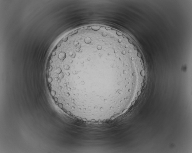 X0000115720955200912241602