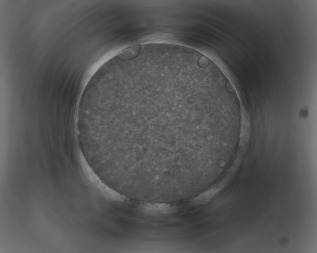 X0000115720957200912241602