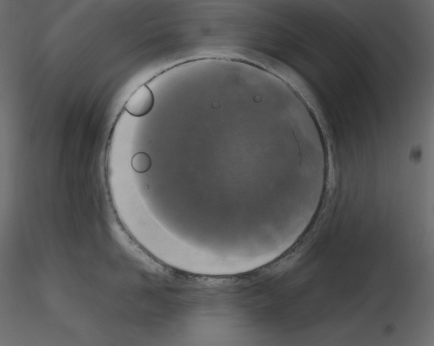 X0000115720958200912241602