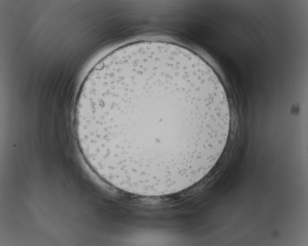 X0000115720959200912241602