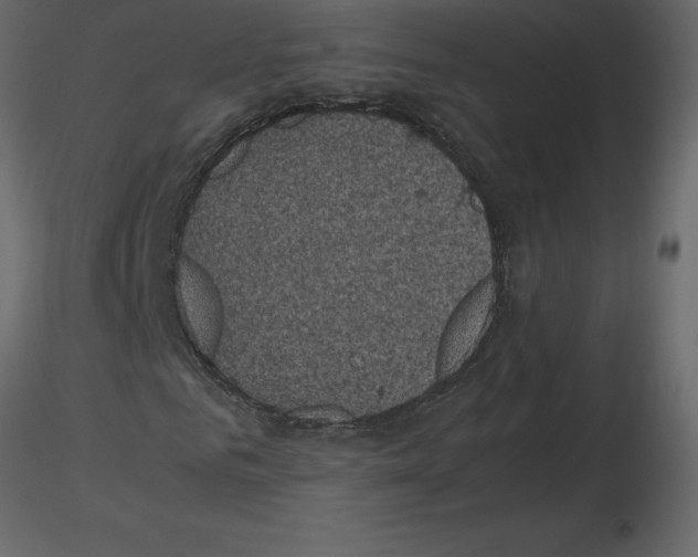 X0000115720961200912241601