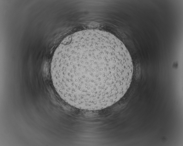 X0000115720962200912241601