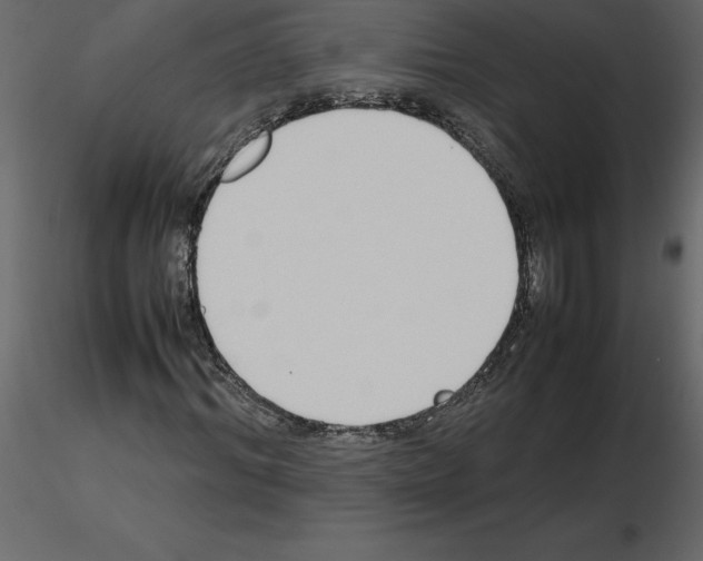X0000115720964200912241601