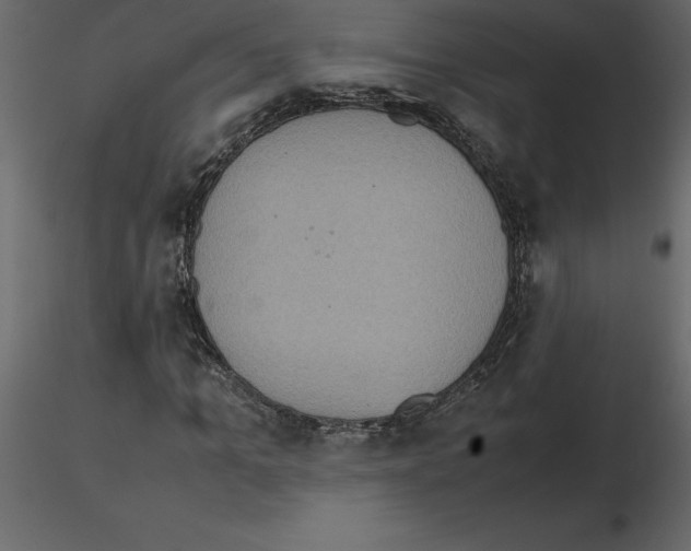 X0000115720965200912241601