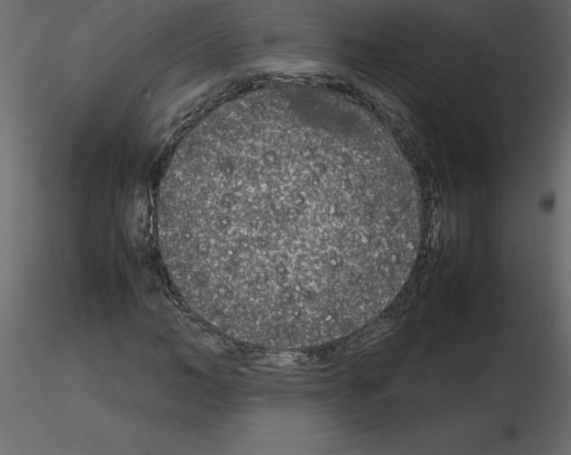 X0000115720966200912241601