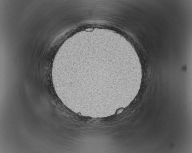 X0000115720967200912241601