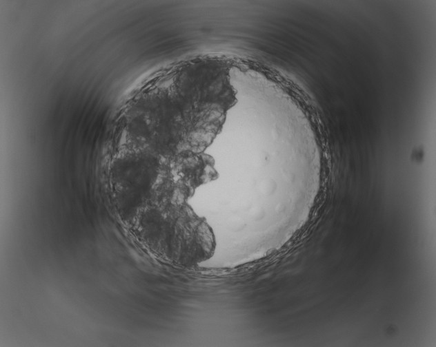 X0000115720968200912241601