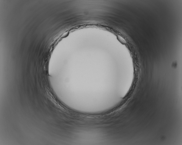 X0000115720969200912241601
