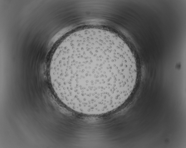 X0000115720970200912241601