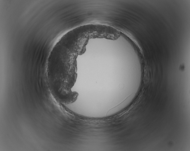 X0000115720972200912241601