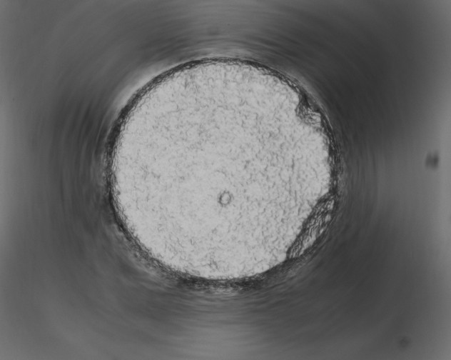 X0000115720975200912241601