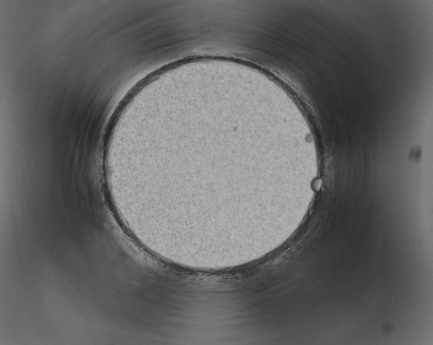 X0000115720976200912241601