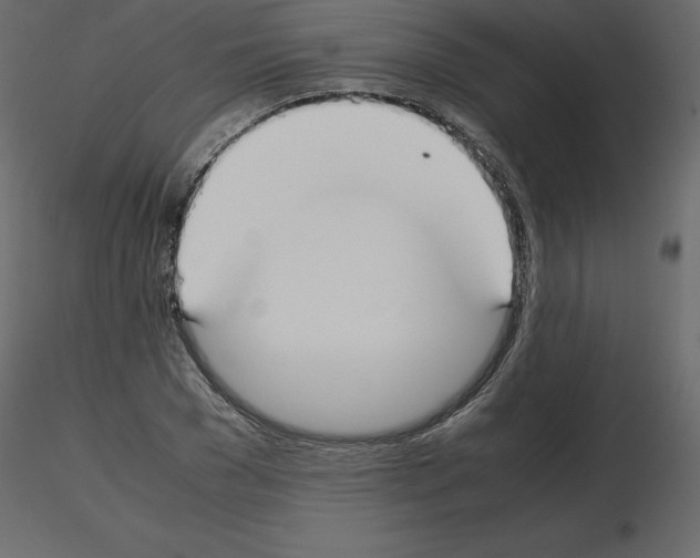 X0000115720977200912241601