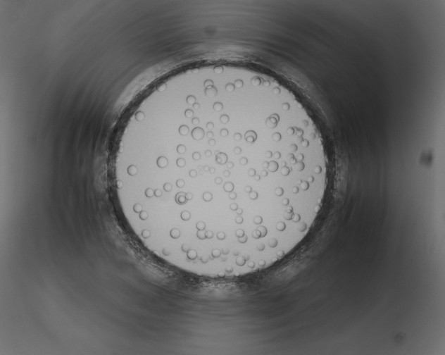 X0000115720978200912241601
