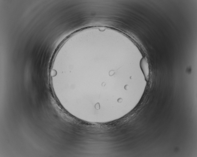 X0000115720980200912241601