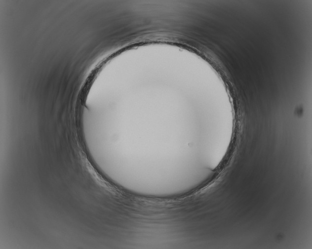 X0000115720981200912241601