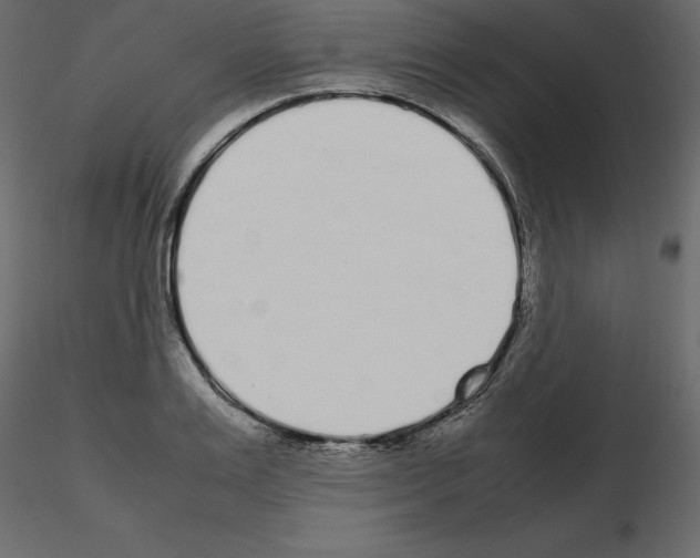 X0000115720983200912241601