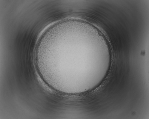 X0000115720984200912241601