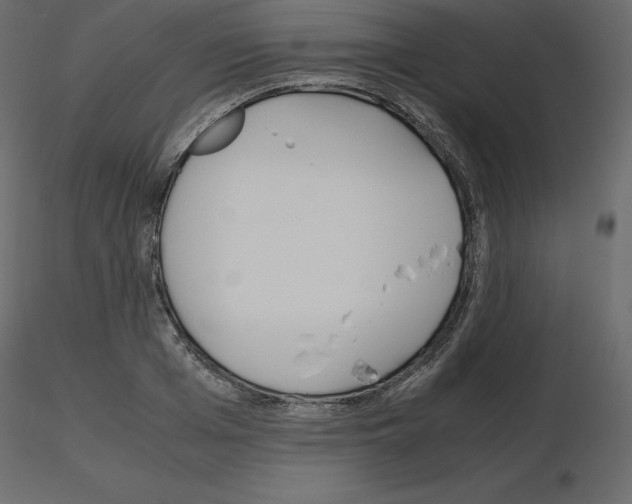 X0000115720985200912241601